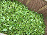 Ayumi Farms (Cyittorattu): Handpicked Wakocha (Japanese black tea, 40g bag) - yunomi-jp.pro
