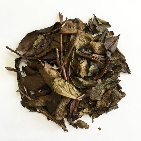 Chasandai Tea Factory: Shimane-Grown Roasted Bancha (Unrolled Hojicha) 100g - yunomi-jp.pro