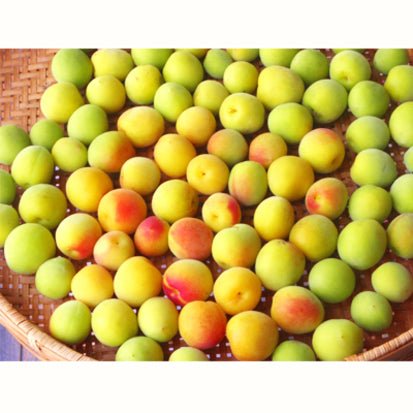 Chasandai: Ume Shiso Bancha (Plum & Perilla Green Tea Bags (5g x 8) - yunomi-jp.pro