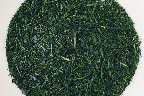 Chiyonoen Tea Garden: #13 Mountain-Grown Yame Gyokuro, Heritage Grade 伝統本玉露 - yunomi-jp.pro