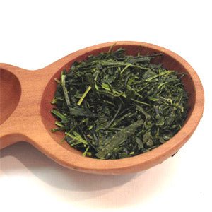 Dobashien Tea #05: Kakegawa Series: Shizuoka Sencha, Hatsuzumi 初摘 - yunomi-jp.pro