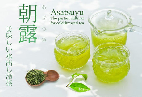 Dobashien Tea #08: Kakegawa Series: Single Cultivar Sencha, Asatsuyu 煎茶 朝露 - yunomi-jp.pro