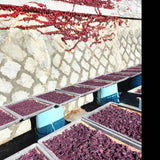 Iijima Seitarou Shoten KN004: Yukari - Sundried, salt-pickled shiso leaves ゆかり