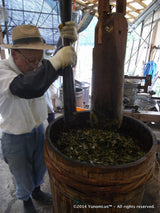 Furyu: Awa Bancha ふりゅう 阿波番茶 - yunomi-jp.pro