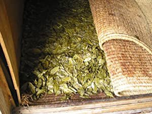 Goishicha from the Otoyo Town Goishicha Producer's Association 大豊町碁石茶協同組合 『本場の本物』碁石茶 - yunomi-jp.pro