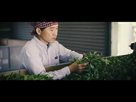 #0720.J1 Yoshida Tea Garden: Sashimacha Izumi Second Flush, Single Cultivar Black Tea