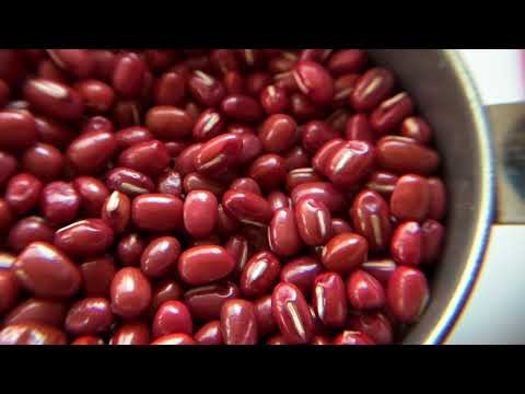 #0828.H2 Morita Beans: #3 Azuki Beans (300g)