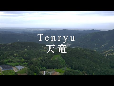 #0403.S5 金田太田茶園：超マイクロバッチ煎茶 単一品種 山のいぶき