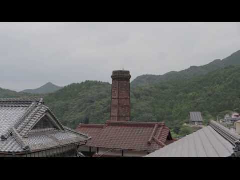 Saikai Ceramics: Grapes Design Porcelain Kyusu Tea Pot & Cup Gift Set