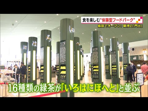 #0752.S5 曼荼羅緑茶サンプラーセット（静岡・大井川町・カドデ） - 蒸し加減4段階、焙煎加減4段階。（ティーバッグ16個入り）