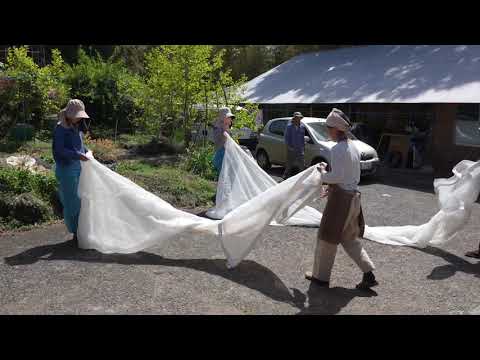 #0483.M3 宮崎茶房 MY03: 自然栽培 釜炒り茶 奥美どり 単一品種