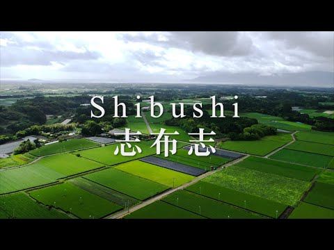 #0709.K2 Wakoen Tea Farm: 2025 Kagoshima Fukamushicha - Takumi (Premium Grade) 和香園  深蒸し茶  匠