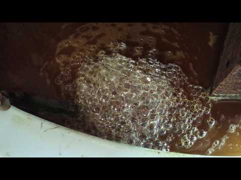 #0383.T2 Michiko's Handpicked, Sun-Dried Awa Bancha from Kamikatsu Village, Tokushima