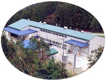 Ikegawa Tea Farm Coop: Spring First Flush Hojicha (Dark Roasted Sencha), Tosa Aburicha 池川一番茶[土佐炙茶] - yunomi-jp.pro