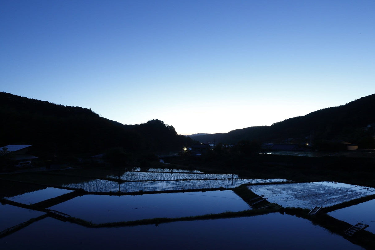 Kameya Foods: Farm Direct Wasabi Chazuke - Seasoning for Rice Tea Soup - yunomi-jp.pro