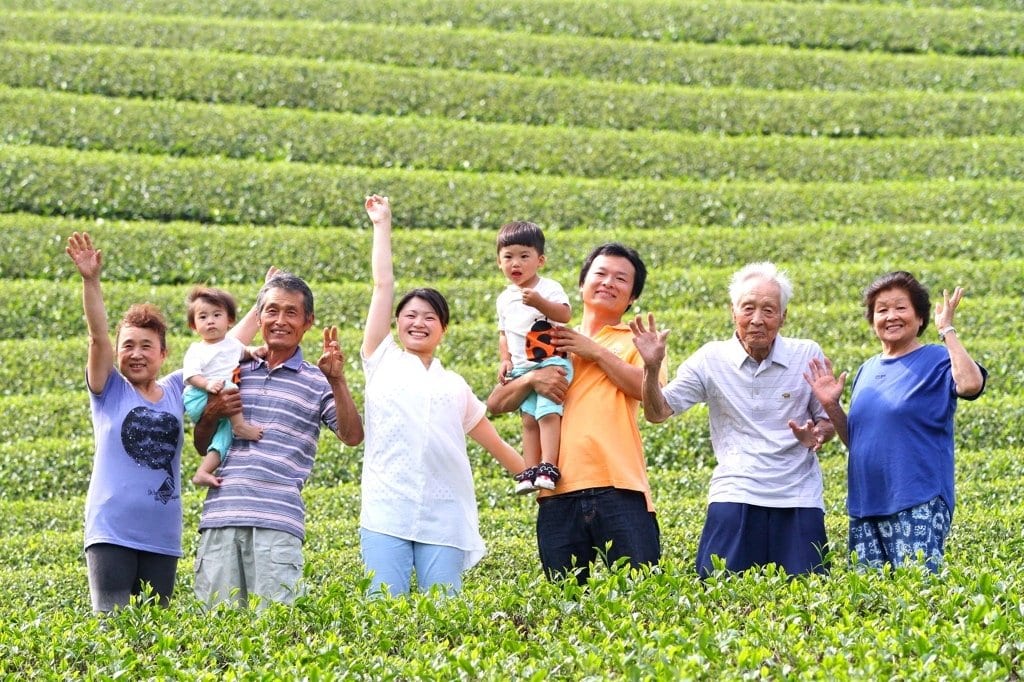 Kaneroku Matsumoto Tea Garden: 2022 Shincha - Limited Edition - Ohashiri 大走り新茶 - yunomi-jp.pro