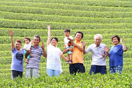 Kaneroku Matsumoto Tea Garden: Matsumoto Family