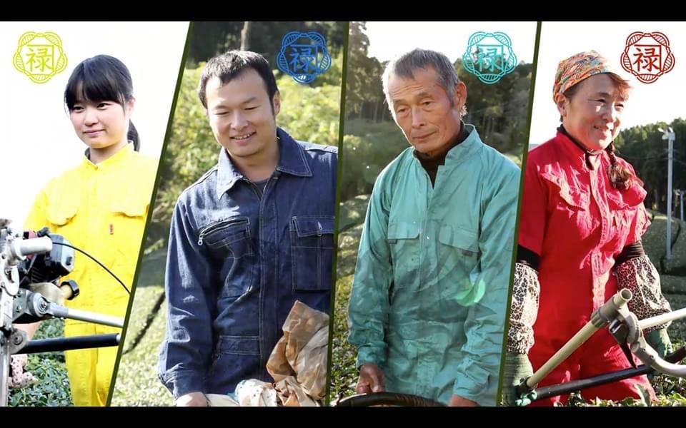 Kaneroku Matsumoto Tea Garden: Smoked Green Tea 燻製緑茶 - yunomi-jp.pro