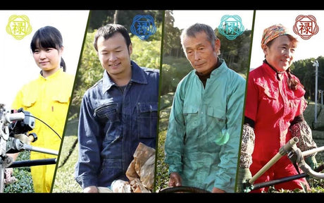 Kaneroku Matsumoto Tea Garden: Smoked Green Tea 燻製緑茶 - yunomi-jp.pro