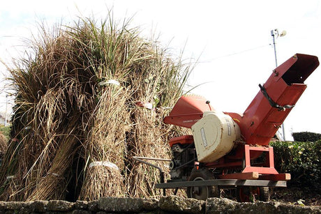 Kaneroku Matsumoto Tea Garden: Smoked Green Tea 燻製緑茶 - yunomi-jp.pro