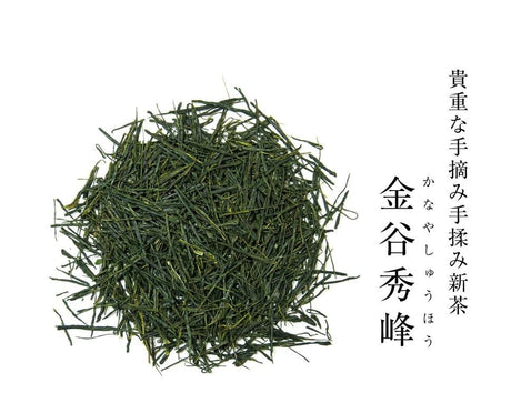 Kanes Tea: Kanaya Shuho 金谷秀峰, Limited Handrolled First Flush, April 2022 Asamushicha - yunomi-jp.pro