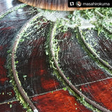 Kuma Tea Garden: Yamecha Mountain-Grown First Flush Spring Benifuuki Black Tea. - yunomi-jp.pro