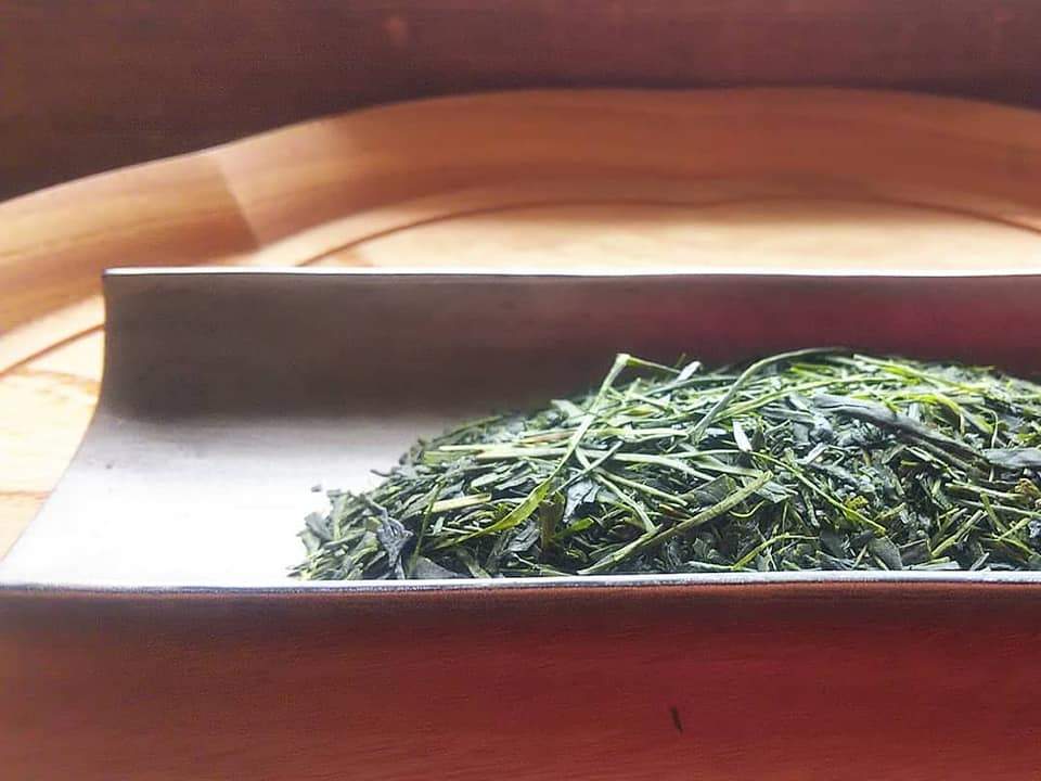 Kuma Tea Gardens: Mountain-Grown Yame Sencha, Single Cultivar Kirari 31 - yunomi-jp.pro