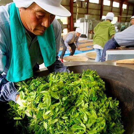 Kunitomo: Riguricha Choshunka - The Ancient Rose - Handpicked Kamairicha 2014 / 2018 / 2019 / 2020 - yunomi-jp.pro