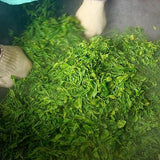 Kunitomo: Riguricha Choshunka - The Ancient Rose - Handpicked Kamairicha 2014 / 2018 / 2019 / 2020 - yunomi-jp.pro