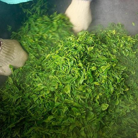 Kunitomo: Riguricha Choshunka - The Ancient Rose - Handpicked Kamairicha 2014 / 2018 / 2019 / 2020 - yunomi-jp.pro