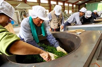 Kunitomo: Riguricha Iwakura - The Stone Throne - Handpicked Kamairicha りぐり茶 岩座 - yunomi-jp.pro