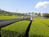 Marushige Shimizu Tea Farm: Kabusecha Shaded Green Tea, Tsuyuhikari つゆひかり - yunomi-jp.pro