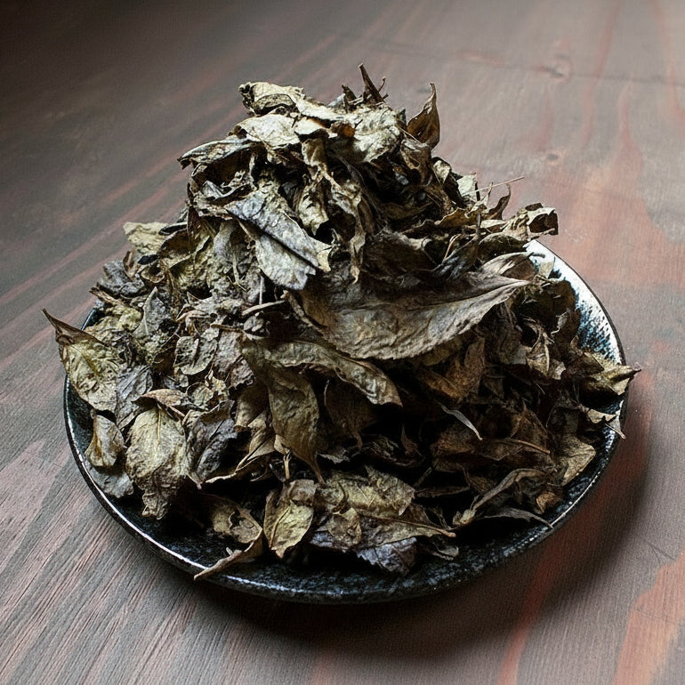 Michiko's Handpicked, Sun-Dried Awa Bancha from Kamikatsu Village, Tokushima - yunomi-jp.pro