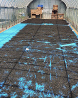 Mitocha NR004: Sun-dried Kamairicha Harubancha 天日干し釜炒り春ばん茶 - yunomi-jp.pro