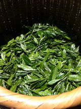 Mitocha NR005: Aged, Sun-dried Kamairicha Bancha 天日干し釜炒りばん茶 - yunomi-jp.pro
