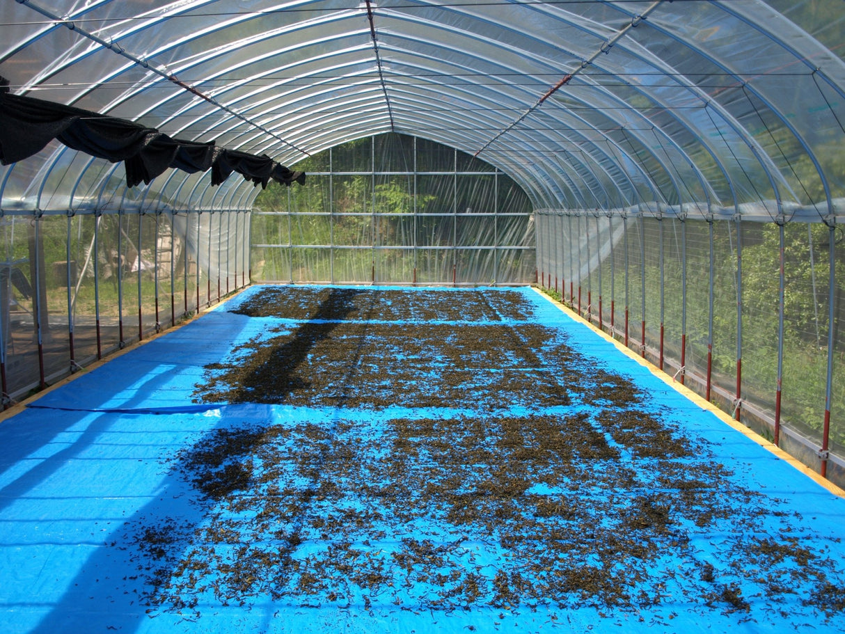 Mitocha NR005: Aged, Sun-dried Kamairicha Bancha 天日干し釜炒りばん茶 - yunomi-jp.pro