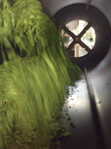 Mitocha NR005: Aged, Sun-dried Kamairicha Bancha 天日干し釜炒りばん茶 - yunomi-jp.pro