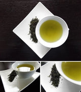 Morita Tea Garden #01: 2022 Premium Sayama Sencha, Suiren 睡蓮 - yunomi-jp.pro