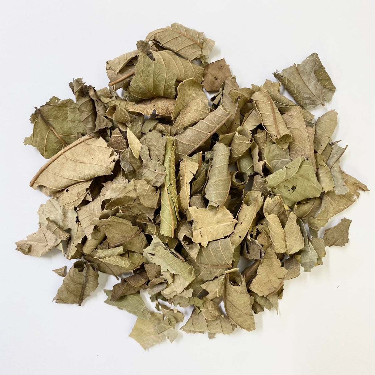 Nakazen: Guava Leaf Tea (loose leaf) - yunomi-jp.pro