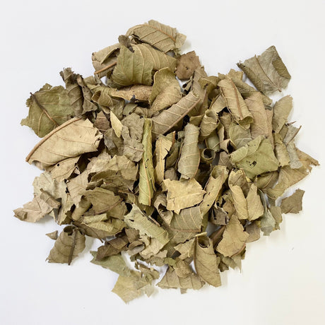 Nakazen: Guava Leaf Tea (loose leaf) - yunomi-jp.pro