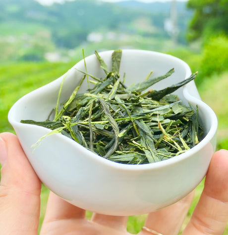 Obubu #08: Yanagi Bancha, Green Tea - yunomi-jp.pro