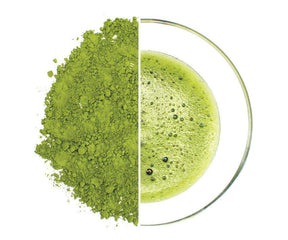 Obubu #20: Premium Culinary Grade Matcha (Stone mill ground)業務用・製菓用 高級宇治抹茶【プレミアム】 - yunomi-jp.pro