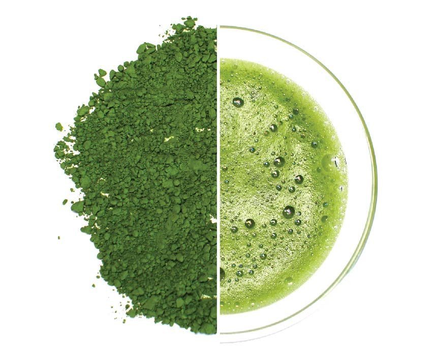 Obubu Matcha: Samidori Cultivar (25g) from Wazuka, Kyoto. - yunomi-jp.pro