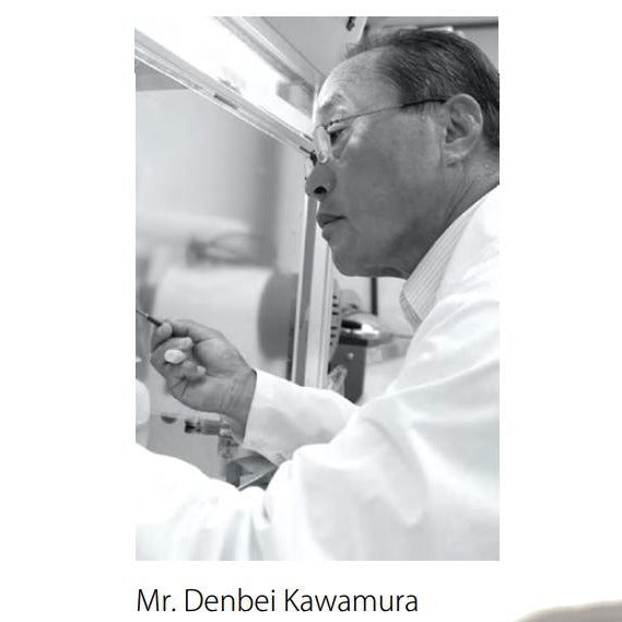 Osada Tea: Organic Yamabuki Nadeshiko, Kurokoji Fermented Tea 有機山吹撫子 - yunomi-jp.pro