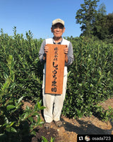 Shuchi Tea Garden: Fukamushicha Green Tea, Kirari 31 Single Cultivar, 2022 Nihoncha Awards Platinum Medal Winner, Refined by Osada Tea - yunomi-jp.pro