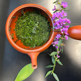 Shuchi Tea Garden: Fukamushicha Green Tea, Kirari 31 Single Cultivar, 2022 Nihoncha Awards Platinum Medal Winner, Refined by Osada Tea - yunomi-jp.pro