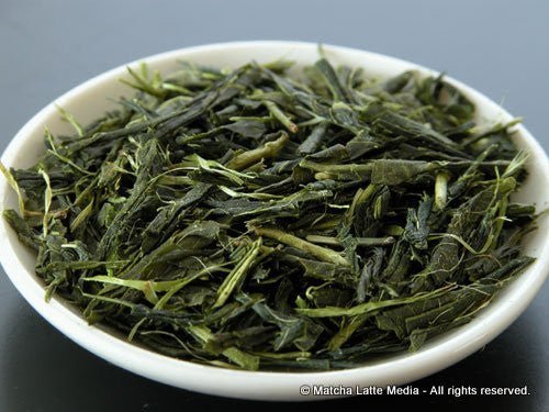 Takeo Tea Farm: 2022 Organic Bancha Green Tea, Satsuki no Aoyanagi, May harvest 五月の青柳 - yunomi-jp.pro