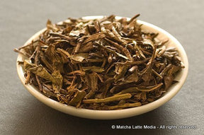 Takeo Tea Farm: Hojicha Roasted Green Tea (Autumn) 農薬不使用 有機ほうじ茶 - yunomi-jp.pro