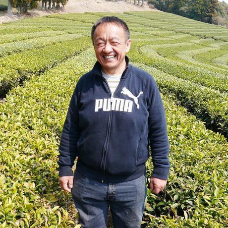 Tarui Tea Farm: 2022 Organic Sencha Ranryu, The Orchid Dragon - Single Cultivar Inzatsu #131 有機 蘭龍 - yunomi-jp.pro