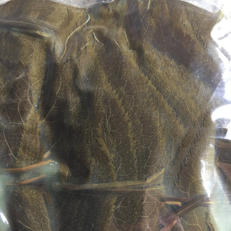 Tomiz: Pickled Sakura Leaves from Izu Peninsula, Shizuoka 桜葉の塩漬(伊豆産) - yunomi-jp.pro